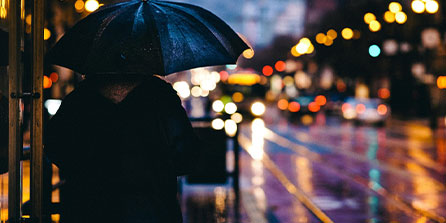 猛龙大胜奇才，范弗利特砍下34分，彰显团队凝聚力与明星实力